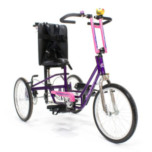 Adventurer Adaptive Bike